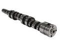 RIVA Sea-Doo 325/300/260/255/230/215 Racing Camshaft