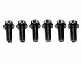 RIVA Pro-Series Flywheel Bolt Kit